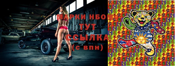 ПСИЛОЦИБИНОВЫЕ ГРИБЫ Белокуриха