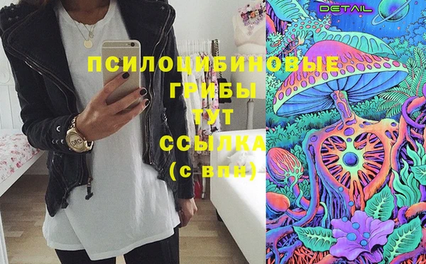 ПСИЛОЦИБИНОВЫЕ ГРИБЫ Белокуриха