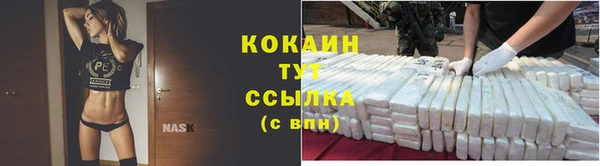 ПСИЛОЦИБИНОВЫЕ ГРИБЫ Белокуриха