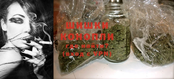 ПСИЛОЦИБИНОВЫЕ ГРИБЫ Белокуриха