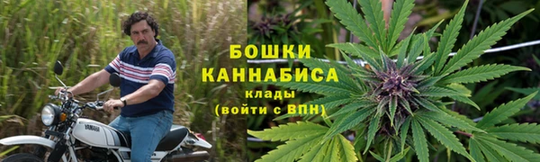 эйфоретик Белоозёрский