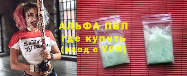 ПСИЛОЦИБИНОВЫЕ ГРИБЫ Белокуриха