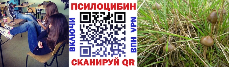 KRAKEN ONION  Красный Сулин  Галлюциногенные грибы Cubensis  наркотики 